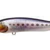 X-75 NANAHAN SW GC IWASHI