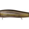 VISION ONETEN Jr.(SP-C) FA STRIPED SHINER