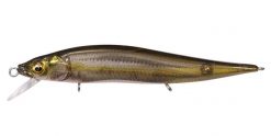 VISION ONETEN Jr.(SP-C) FA STRIPED SHINER