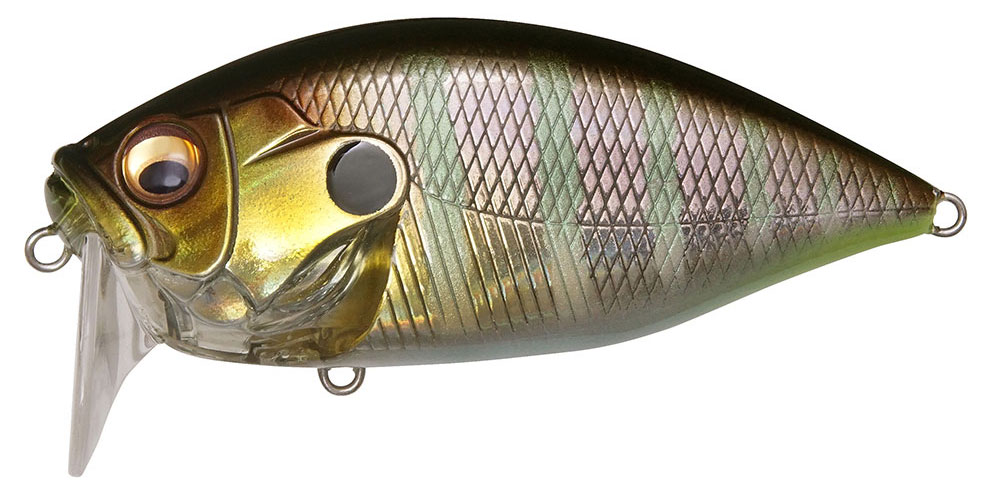 O.R.C BURNING SHAD GG GILL