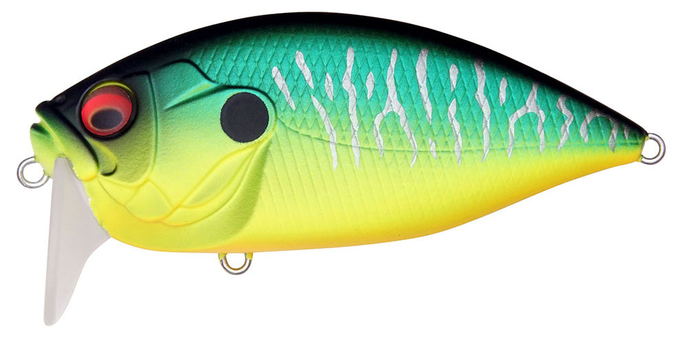 O.R.C BURNING SHAD MAT TIGER