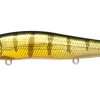 VISION ONETEN SR GG PERCH
