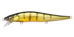 VISION ONETEN SR GG PERCH