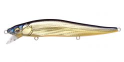 VISION ONETEN SR M CHAMPAGNE KINKURO