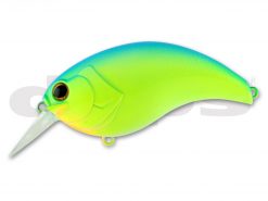 DEPS EVOKE 3.0 #02 BLUE BACK CHART