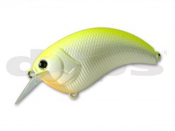 DEPS EVOKE 1.8 #04 CHART BACK