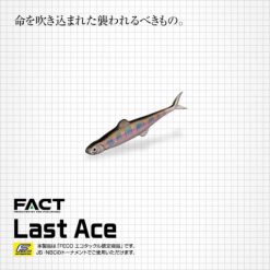 EVERGREEN LAST ACE 75