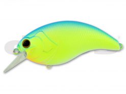 DEPS EVOKE 4.0 #02 BLUE BACK CHART