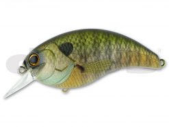 DEPS EVOKE 4.0 #04 SCAM PERCH
