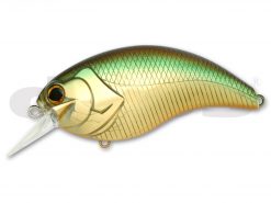 DEPS EVOKE 4.0 #06 GOLDEN SHINER