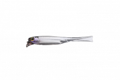 JACKALL DRIFTFRY 2,5" ELASTOMER FLASHING SHAD