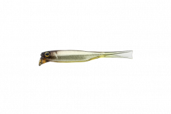 JACKALL DRIFTFRY 2,5" ELASTOMER STAIN SECRET