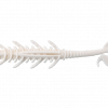 JACKALL JUGGPOD 3.6 WHITE ERASER
