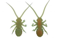 Orikanemushi II Orikkin Grasshopper OM026