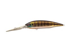 GOLD DIGGER 600  #50 BABY GILL