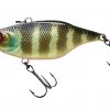JACKALL SKULL SHELL TN70 MARUHATA SOUND MARUHATA GOLD GILL