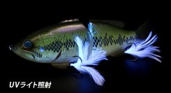 DEPS CODE NAME BASS SS TOY LARGE LIMITED – Bild 3