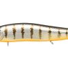 VISION ONETEN Jr. SW GLX BOLT