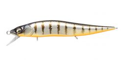 VISION ONETEN Jr. SW GLX BOLT