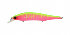 ITO SHINER (SP-C) PITAYA MAT TIGER