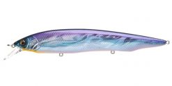 KANATA+1 (SP-C) GG BLUE SHAD