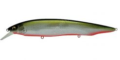 KANATA+1 (SP-C) M RB SHAD