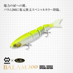 Evergreen x Madness BALAM 200