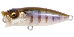 BABY POPX GILLKKO