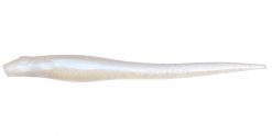 HAZEDONG 4" GHOST SHAD/SOLID