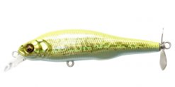 PROP DARTER 80 GG CHART BACK BASS
