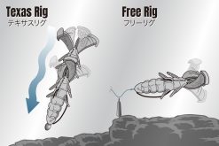 SLAPHOG 3.5" BONE SHRIMP – Bild 3