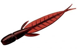 Evergreen C-4 LEECH 3,1" #11 SCAPANONG