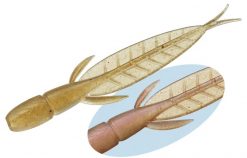Evergreen C-4 LEECH 3,1" #64 NATURAL WAKASAGI