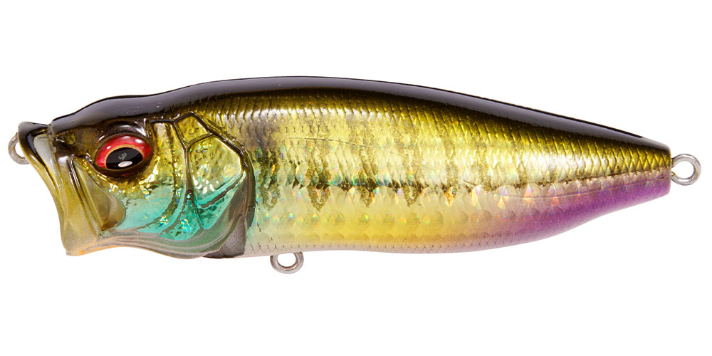 POPMAX GG TANNIN GILL II