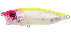 POPMAX GST TIGER REACTION