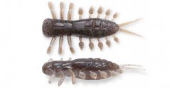 YAGOT 3.5" PHANTOM CRAW