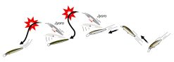 BALISONG MINNOW 130 F NATURAL PERCH – Bild 4
