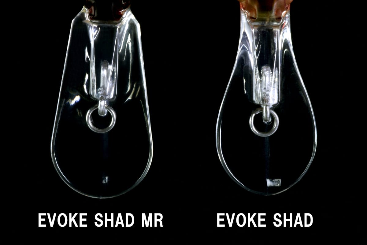 EVOKE SHAD MR #03 LIME BACK – Bild 5