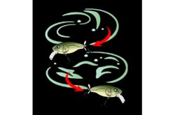 DEPS BUZZJET JR #77 Ghost Minnow – Bild 7
