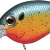PICCOLO #381 BREADING SUN FISH