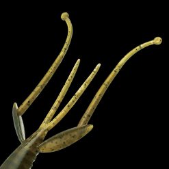 C-4 SHRIMP 2.8" NEW #38 MOEBI – Bild 2