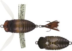 DUO REALIS SHINMUSHI Semigara (CCC3203)