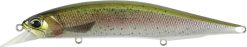 DUO Realis Jerkbait 120SP Rainbow Trout ND PIKE SERIE (CCC3836)