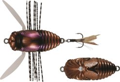 DUO REALIS SHINMUSHI Beetle (CCC3219)