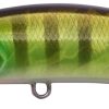 DUO Realis Rozante 63SP Chart Gill Halo (AJA3055)