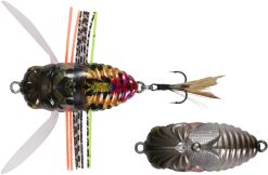 DUO Realis Shinmushi Sunset Moth (CCC3233)