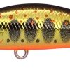 DUO Spearhead Ryuki 38S Gold Yamame (MCC4084)