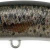 DUO Realis Rozante 63SP Brown Trout ND (CCC3815)