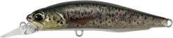 DUO Realis Rozante 63SP Brown Trout ND (CCC3815)