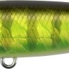 DUO Realis Pencil 65 Chart Gill Halo (AJA3055)